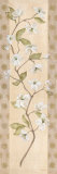 Asian Dogwood Art by Angela Ferrante