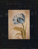 Tulipe Bleue II Prints by Carol Robinson Tulipe Bleue II Prints by Carol Robinson