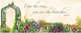 Arbor: the Vine Prints by Smith-Haynes 