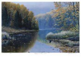 Among the Fallen Leaves Limited Edition by J. Vanderbrink