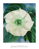 Georgia O'Keeffe - Jimson Weed, 1932 - Reprodüksiyon Georgia O'Keeffe - Jimson Weed, 1932 - Reprodüksiyon