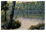 Golden Pond Edição limitada por J. Vanderbrink
