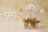 Orchidées dans un bol chinois Affiches par Cheri Blum