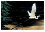 Taking Flight Limited Edition by Cyril Cox