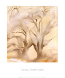 Winter Cottonwoods, East V, 1954 Prints by Georgia O'Keeffe