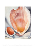 Two Pink Shells, 1937 Posters af Georgia O'Keeffe