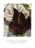 Pattern of Leaves, 1924 Prints by Georgia O'Keeffe
