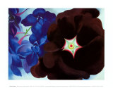Schwarze Malve, Blauer Rittersporn Poster von Georgia O'Keeffe