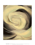 Abstracción de rosa blanca, 1927 Pósters por Georgia O'Keeffe Abstracción de rosa blanca, 1927 Pósters por Georgia O'Keeffe