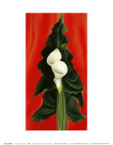 Arums d'Ethiopie sur fond rouge, 1928 Affiche par Georgia O'Keeffe
