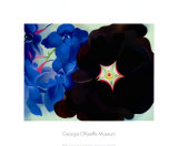 Malvavisco negro, espuela de caballero azul, 1930 Pósters por Georgia O'Keeffe
