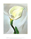Calla Lily Turned Away, 1923 Affiches par Georgia O'Keeffe