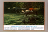 Saurolophus & Tarbosaurus Posters par Doug Henderson