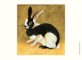 Black and White Bunny II Pôsters por . .