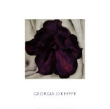 Purple Petunia, 1925 Prints by Georgia O'Keeffe Purple Petunia, 1925 Prints by Georgia O'Keeffe