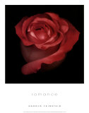 Romance Posters by Harold Feinstein