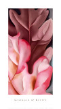 Hojas de roble, rosa y gris, 1929 Láminas por Georgia O'Keeffe Hojas de roble, rosa y gris, 1929 Láminas por Georgia O'Keeffe