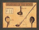 Anatomy of the Wood Poster tekijänä Jennifer King Anatomy of the Wood Poster tekijänä Jennifer King