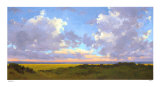 Afternoon Skies Limited Edition by Kim Coulter