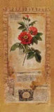 Rose Collage Fantasy II Posters by Joyce Combs