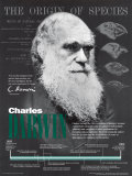Charles Darwin Print