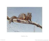 Are You Nuts? Stampe di Rusty Frentner