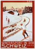 Winter Sport in Der Schweiz Posters by P. Colombi