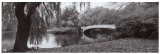 Arco de puente en Central Park Póster por Rick Anderson Arco de puente en Central Park Póster por Rick Anderson