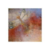 Dragonfly Limited Edition by Maeve Harris