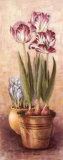 Flowering Bulbs I Posters by Anne Searle Flowering Bulbs I Posters by Anne Searle