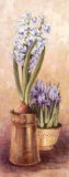 Flowering Bulbs II Prints by Anne Searle Flowering Bulbs II Prints by Anne Searle