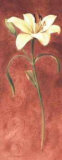 Day Lily Prints by John Clayton
