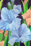 Blue Gladioli Prints by Sophia Dare Dentiste