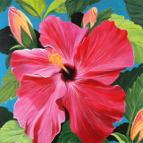 Pink Hibiscus Kunstdrucke von Sophia Dare Dentiste