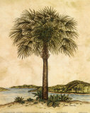 Palm Paradise II Prints by Dianne Krumel Palm Paradise II Prints by Dianne Krumel