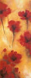 Divine Poppies I Poster by S. Ward