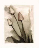 Tulips II Print by Richard Sutton