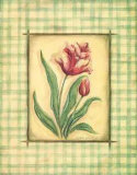 Gingham Tulip Poster by Kate McRostie