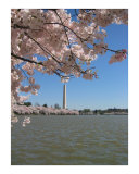 Washington in Pink Photographie par Kya Sainsbury-Carter