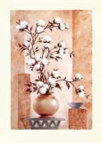 Cotton Blossom Prints by Renate Holzner Cotton Blossom Prints by Renate Holzner