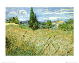 Champ de blé avec cyprès, vers 1889 Posters par Vincent van Gogh