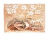 White Orchid Posters by Tara King White Orchid Posters by Tara King