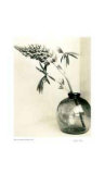 Floral 1 Limitierte Auflage von Adriene Veninger