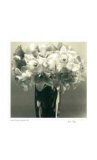 Jonquilles Edition limitée par Adriene Veninger