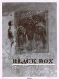 Black Box Limited Edition by Carl Beam