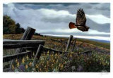Threatening Skies Limited Edition by Cyril Cox
