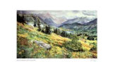An Alberta Summer Limited Edition by Catherine Perehudoff