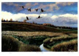 Autumn Calling Limited Edition by Cyril Cox