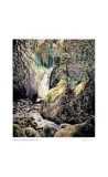 Rushing Water Edition limitée par Catherine Perehudoff