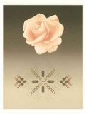 Rose Matrix VI Limited Edition by David Haiden